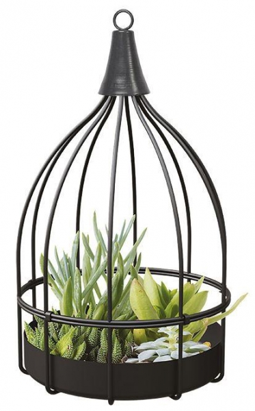 Bird Cage Succulent Planter Black