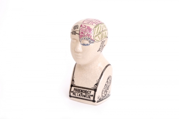 Antique Style Small Phrenology Head Crackle Unusual Gift