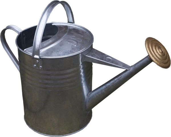 Metal Watering Can 9L Silver Durable Garden Patio Indoor Outdoor Plant Care