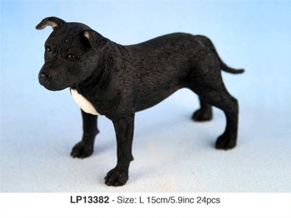 Staffordshire Bull Terrier