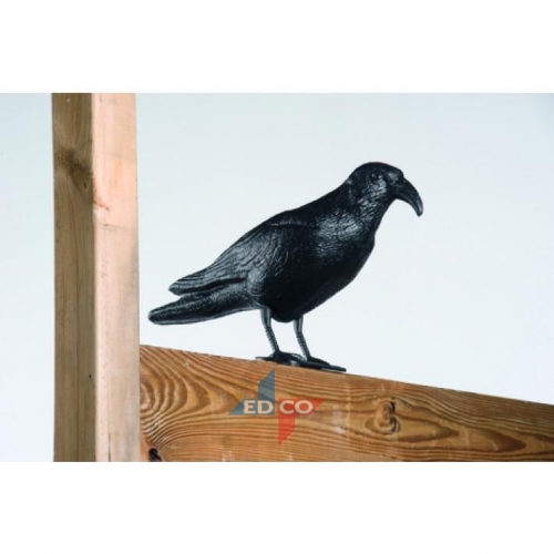 Pigeon scarer crow black garden ornament