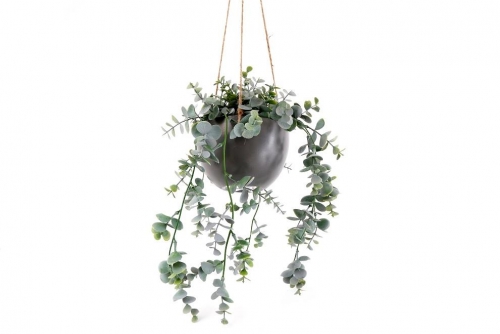 Hanging Euclaptus Plant With Ceramic Grey Port