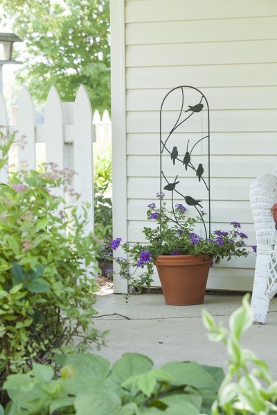 Perching Birds Pot Trellis