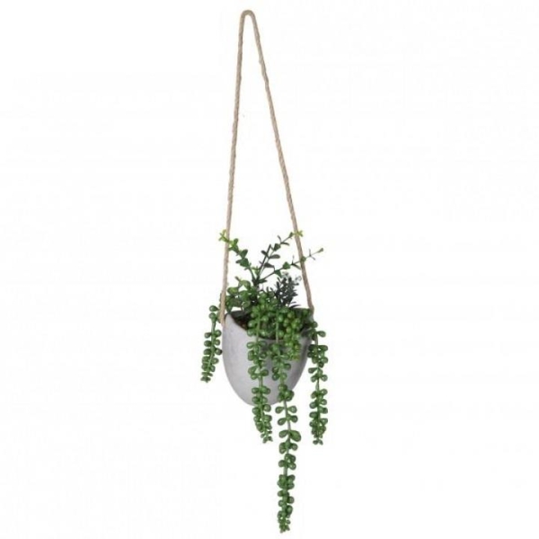 Wall Hanging Plant Suspension