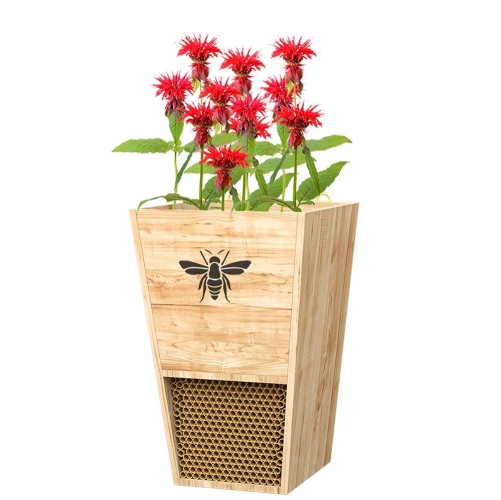 Heavy Duty Cedar Mason Bee House Planter with Fabric Liner.