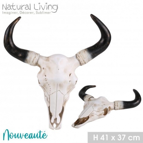 Natural Living Cow Skull 37X40X9 CM