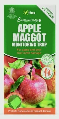 Vitax Apple Maggot Monitoring Trap