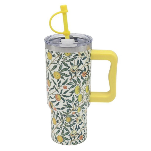 Fruits Drinks Cup 700ml with Straw Multi Coloured Metal Cold Beverage Holder
