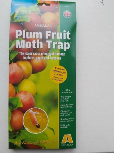 Agralan Plum Fruit Moth Trap