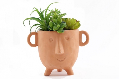 Face Pot With Succulent Large