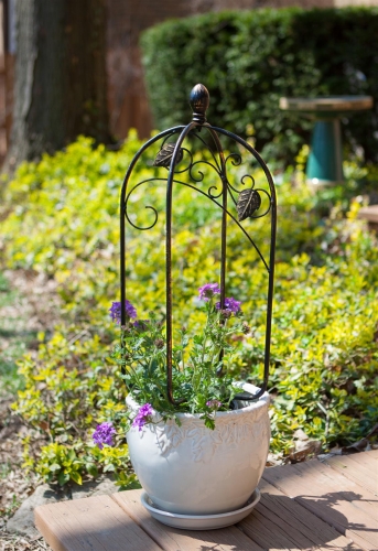Scroll and Ivy24 Inch Pot Trellis Topper