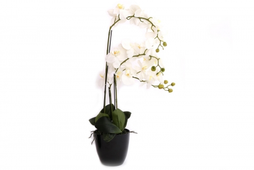 75cm Artificial White Orchid With 3 Stems Home Decoration