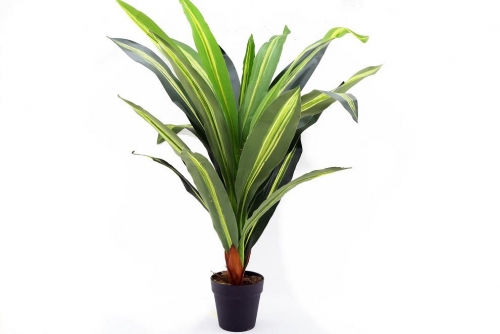 Giant Yucca Plant 90CM Home Decoration