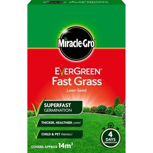 Evergreen Fast Grass Lawn Seed 480g