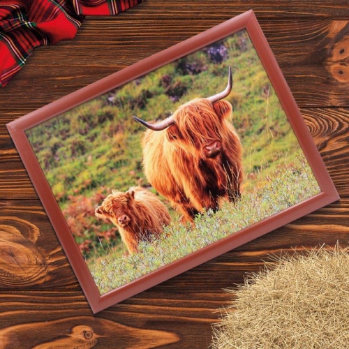 Cow & Calf Laptray